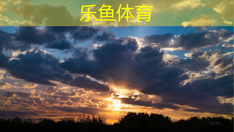 乐鱼体育官方网站,庞伯特乒乓球台如何